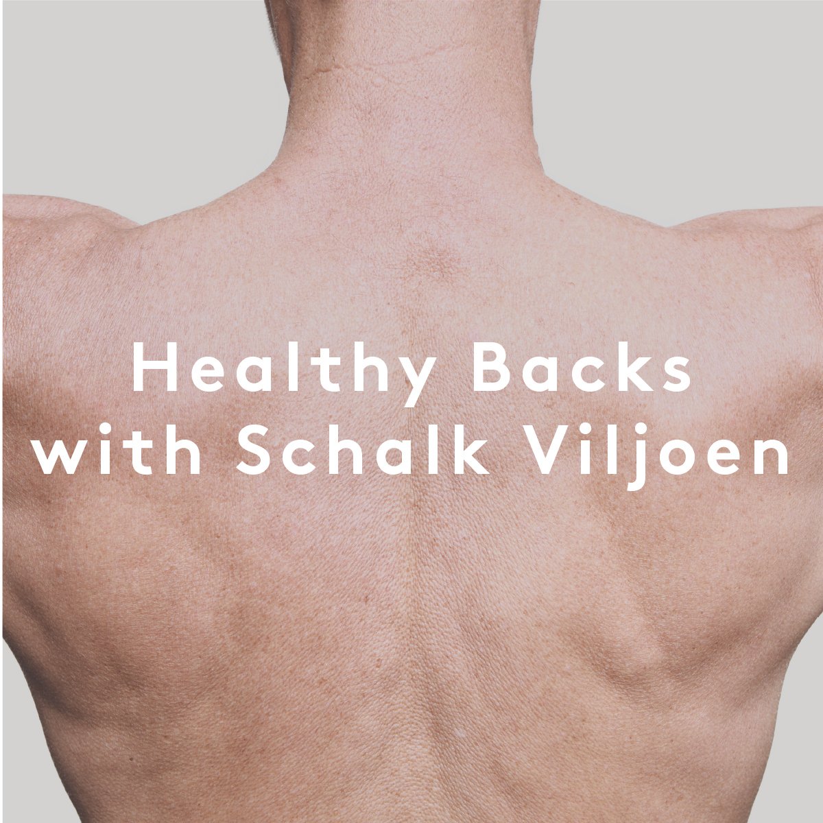In Our Workshops: Healthy Backs