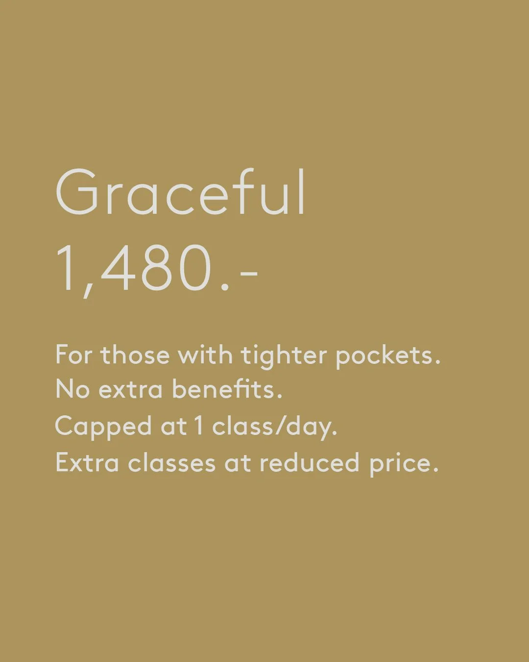 NEW YEAR MEMBERSHIPS 2026Artboard 6.jpeg