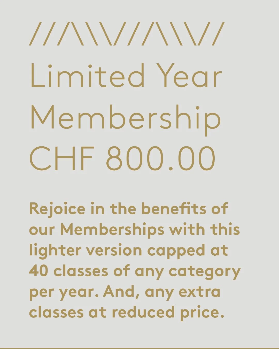 NEW YEAR MEMBERSHIPS 2026Artboard 3.jpeg