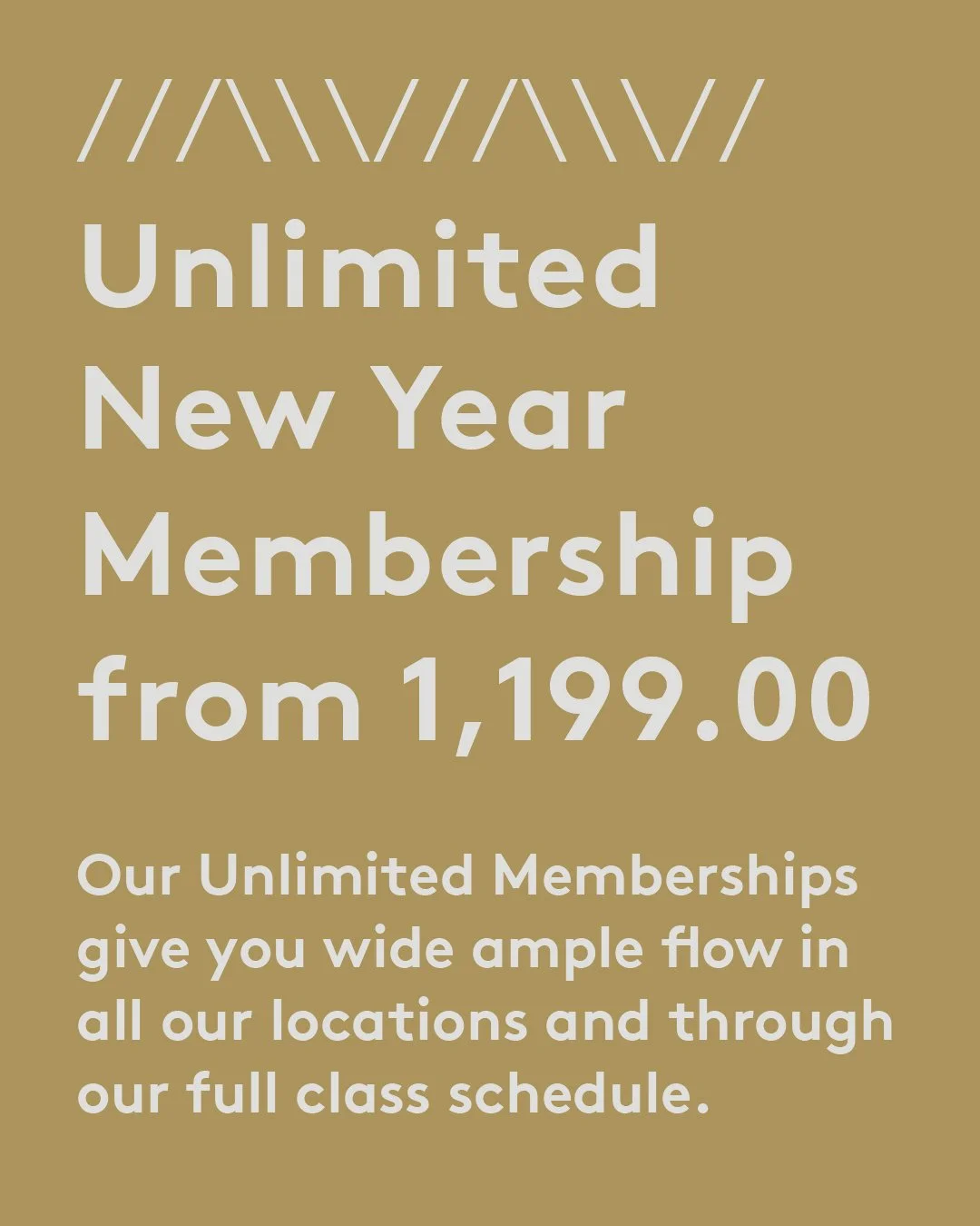 NEW YEAR MEMBERSHIPS 2026Artboard 4.jpeg