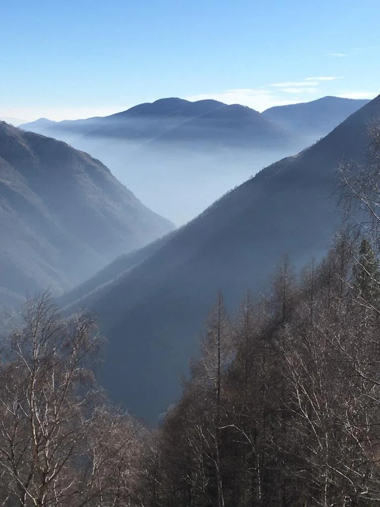 Conscious Connected Breathwork Series with Chris Leuenberger