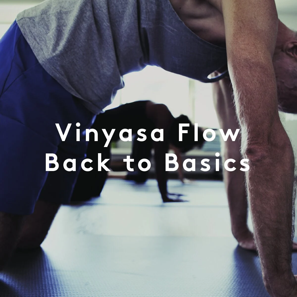Vinyasa Flow Back to Basics