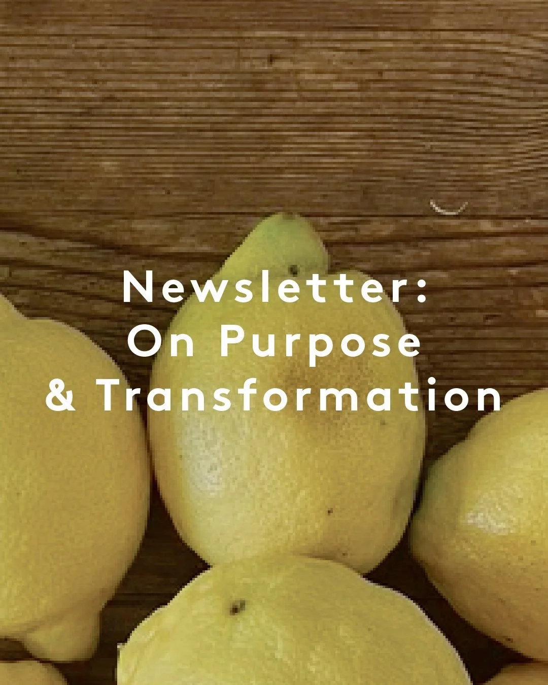 Good morning letter: On Purpose &amp; Transformation ✨😌🪷