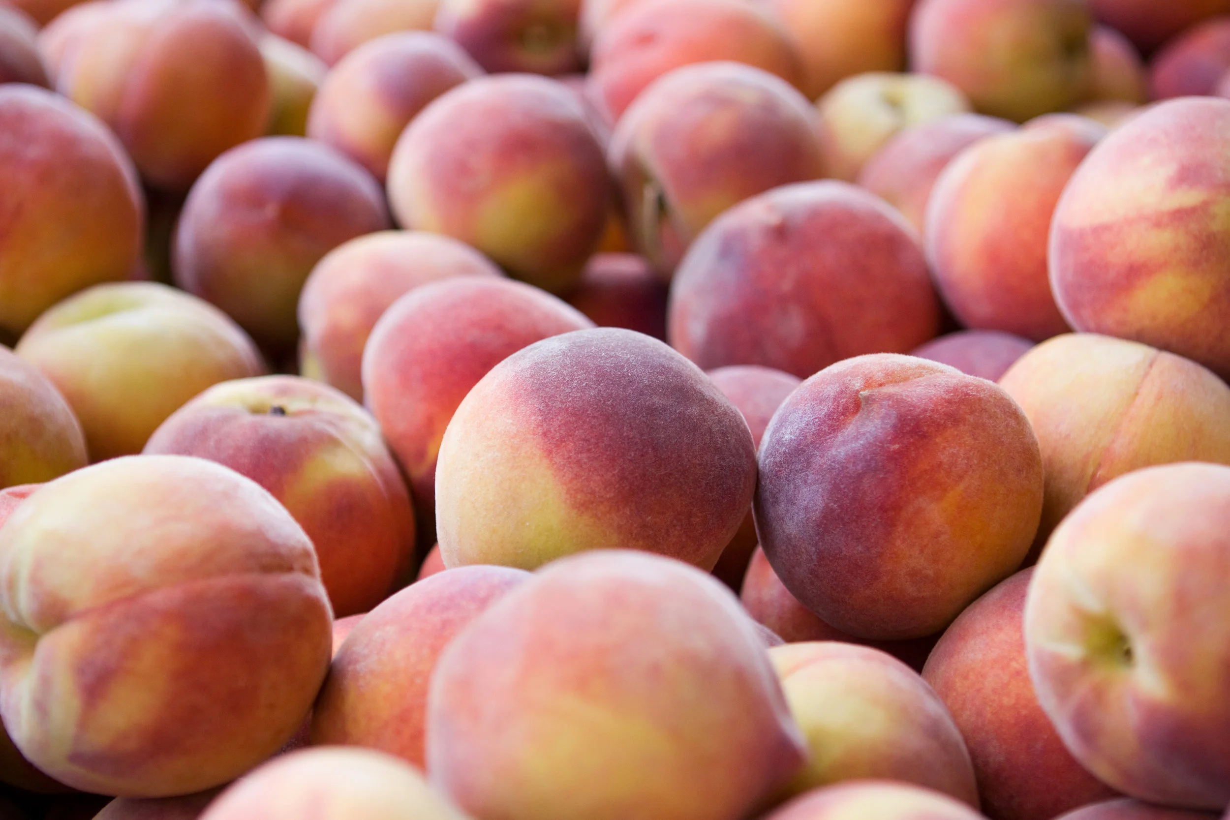 peaches3.jpg