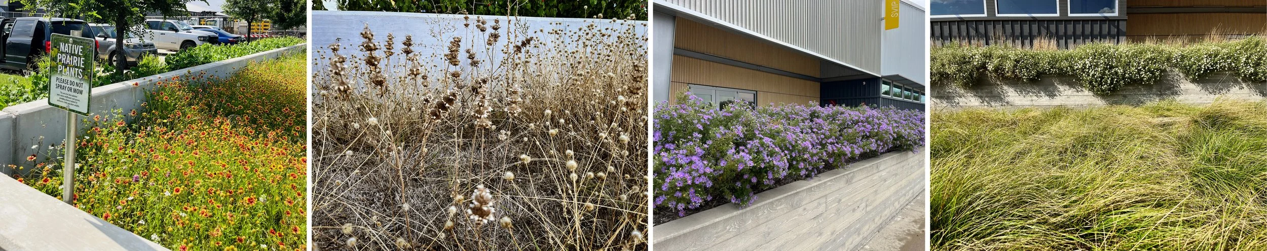 Sun Valley Details.jpg