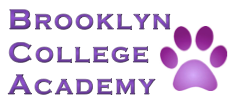 BK College Acad.png