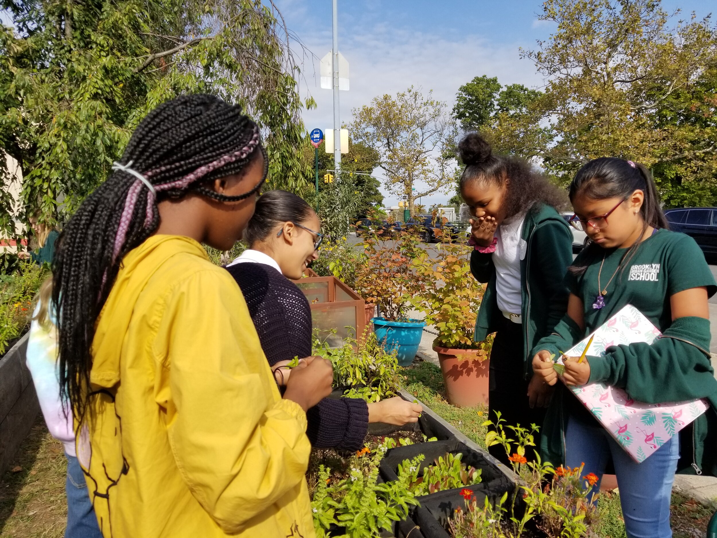 edible garden 2.jpg