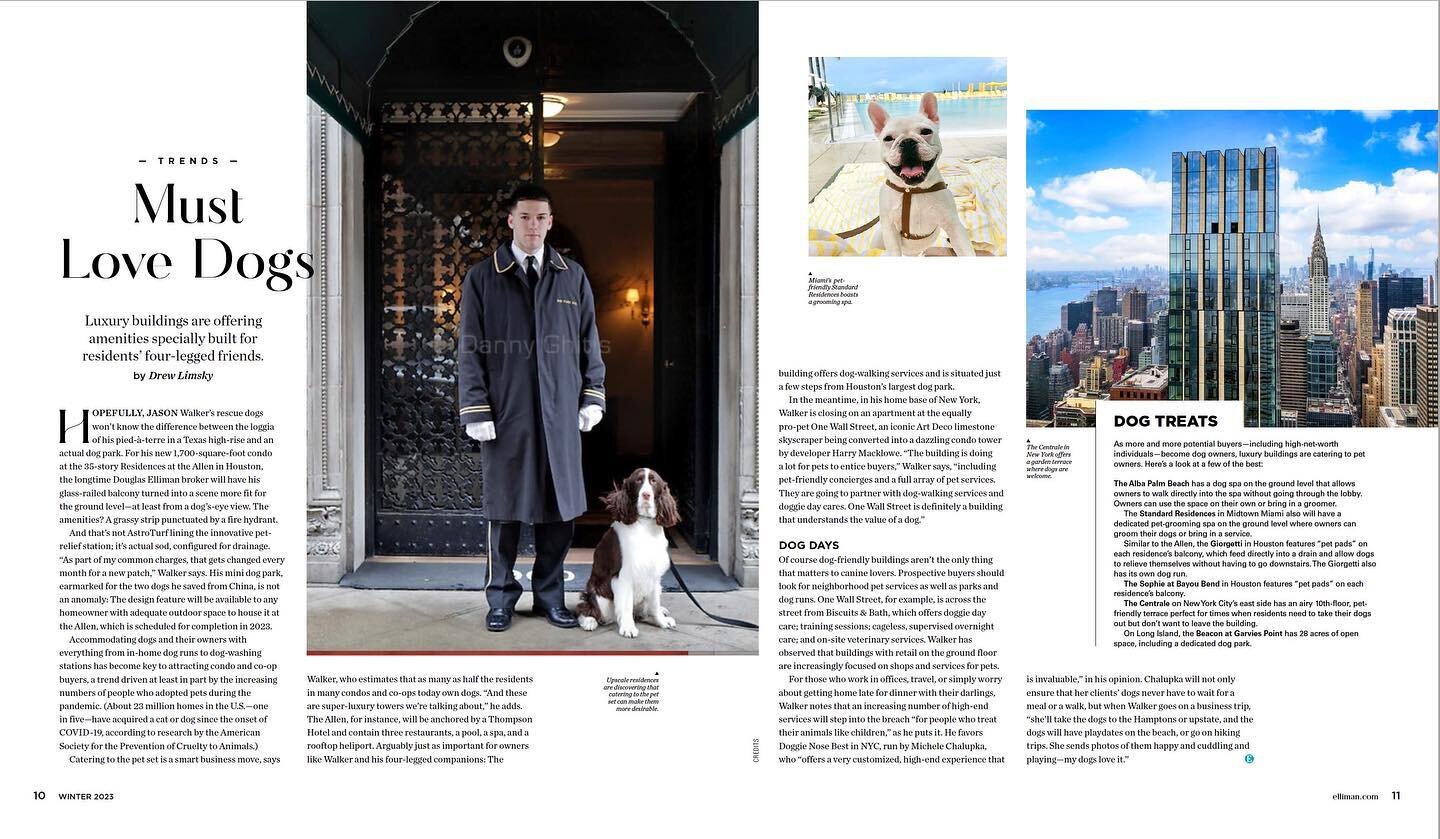 Extra! Extra! Read all about it 🗞️🚨 Check out the Doggie Nose Best feature, thanks to Jason (@jasonwalker_nyc) &amp; @douglaselliman 🗽🏢🐕🦮🐩🐕&zwj;🦺🐾 #doggienosebest #dogs #lovemyjob #womansbestfriend #blessedwiththebest #hottothetouch #dogsof