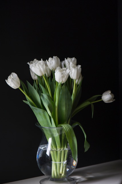 20140217Tulips20.jpeg