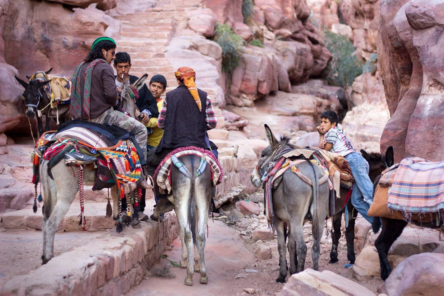 Bedouin tour-guides take a break with their donkeys • Petra, Jordan •