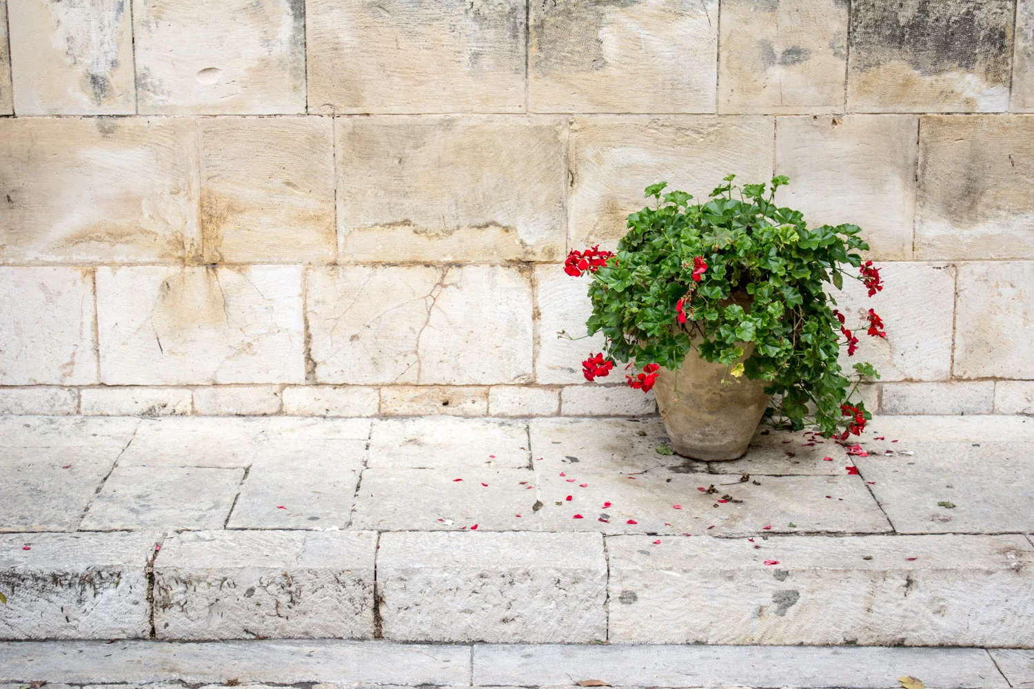 Details in Jerusalem's Old City • Jerusalem, Israel •