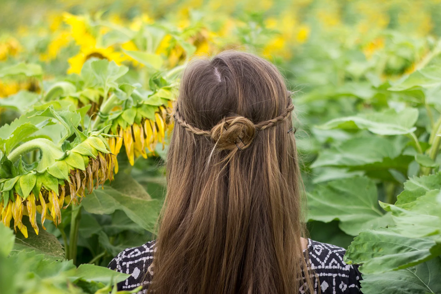 Pulling over on our road-trip to gently trespass into a sunflower field for photos like this • Ontario, Canada •