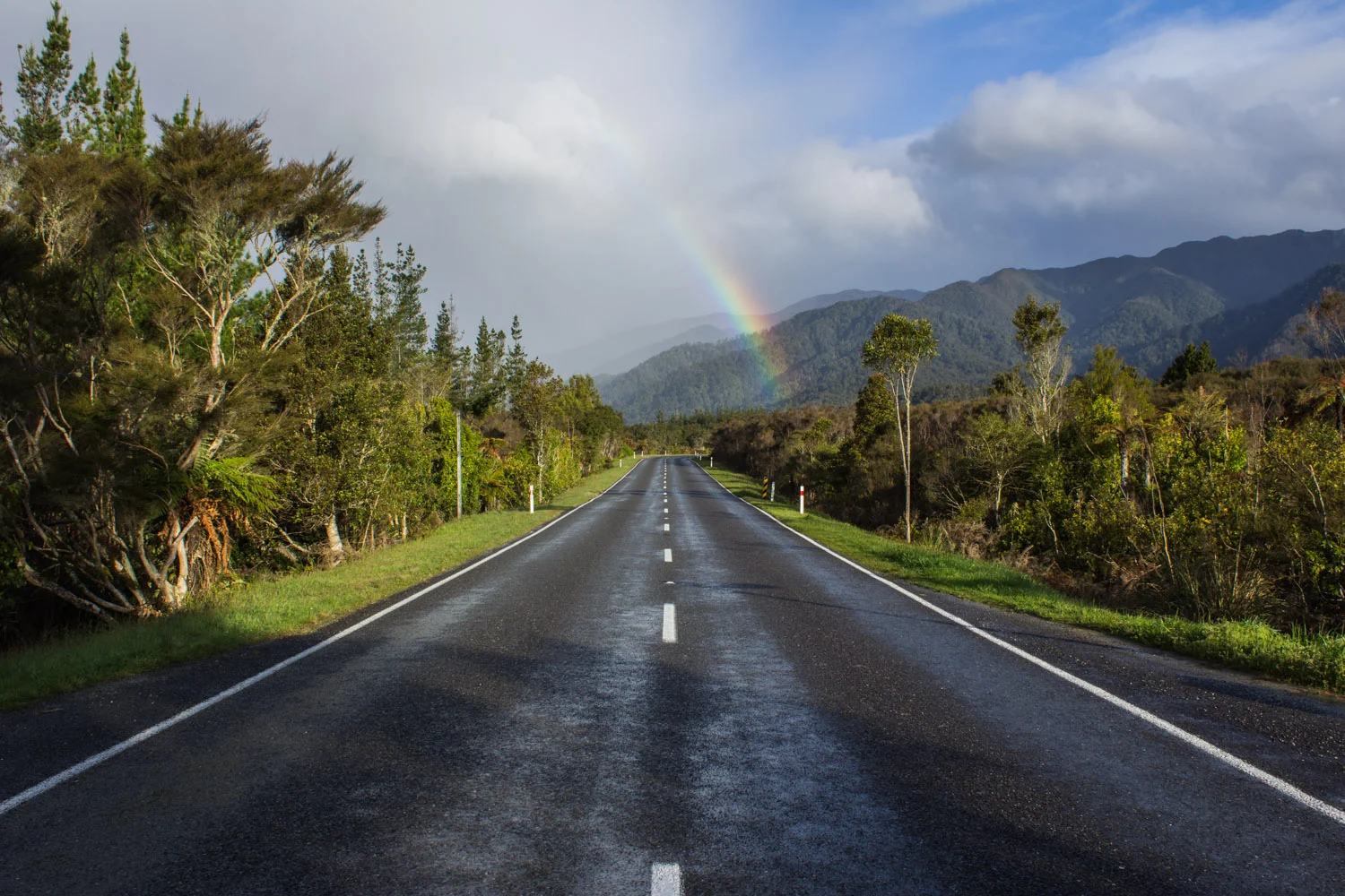 On a road-trip with friends through New Zealand, we pulled over often to take photos of our roadside views • South Island, New Zealand •