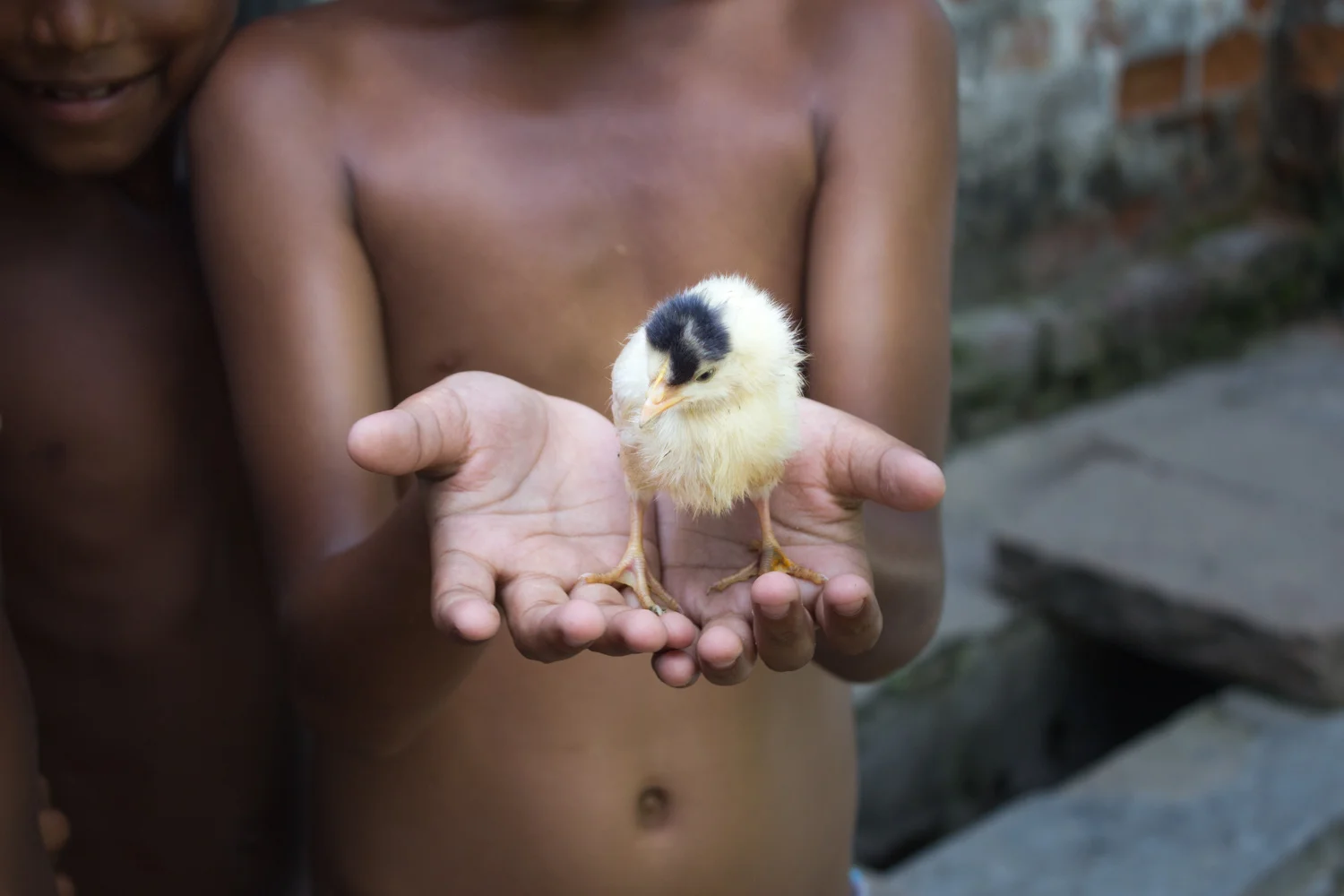 Never a dull walk through Kolkata. This boy was playing with his friends in an alleyway • Kolkata, India •
