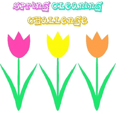 Spring Cleaning?