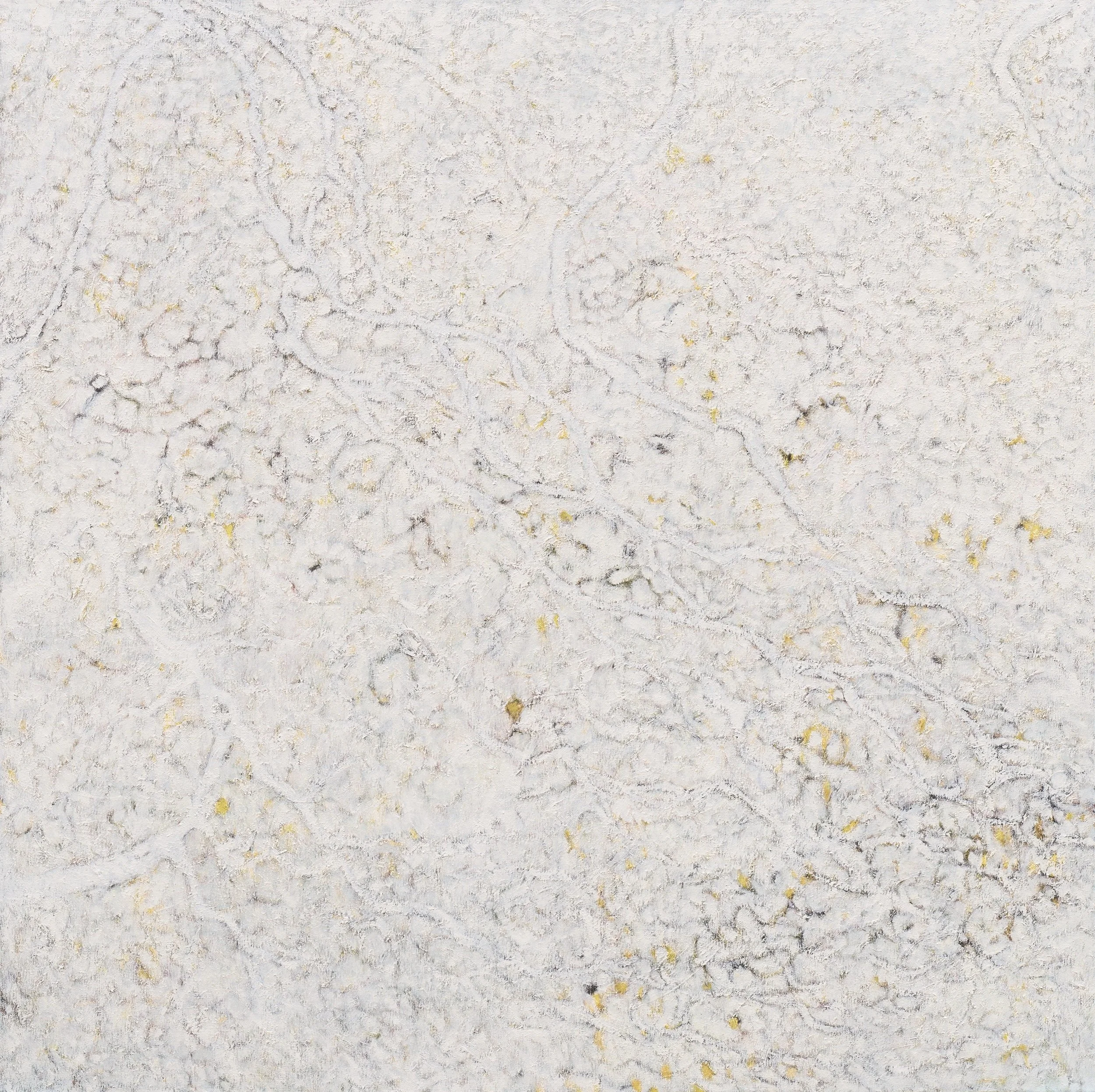  48” x 48”                                                                                                             Oil on canvas                                                                                                                      