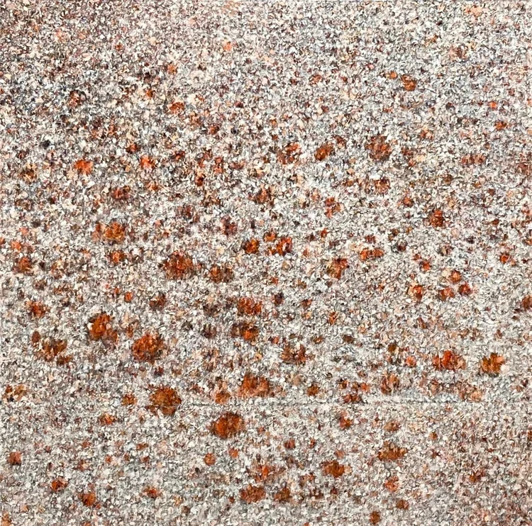  48” x 48”                                                                                                                                                              Oil on canvas                                                                     