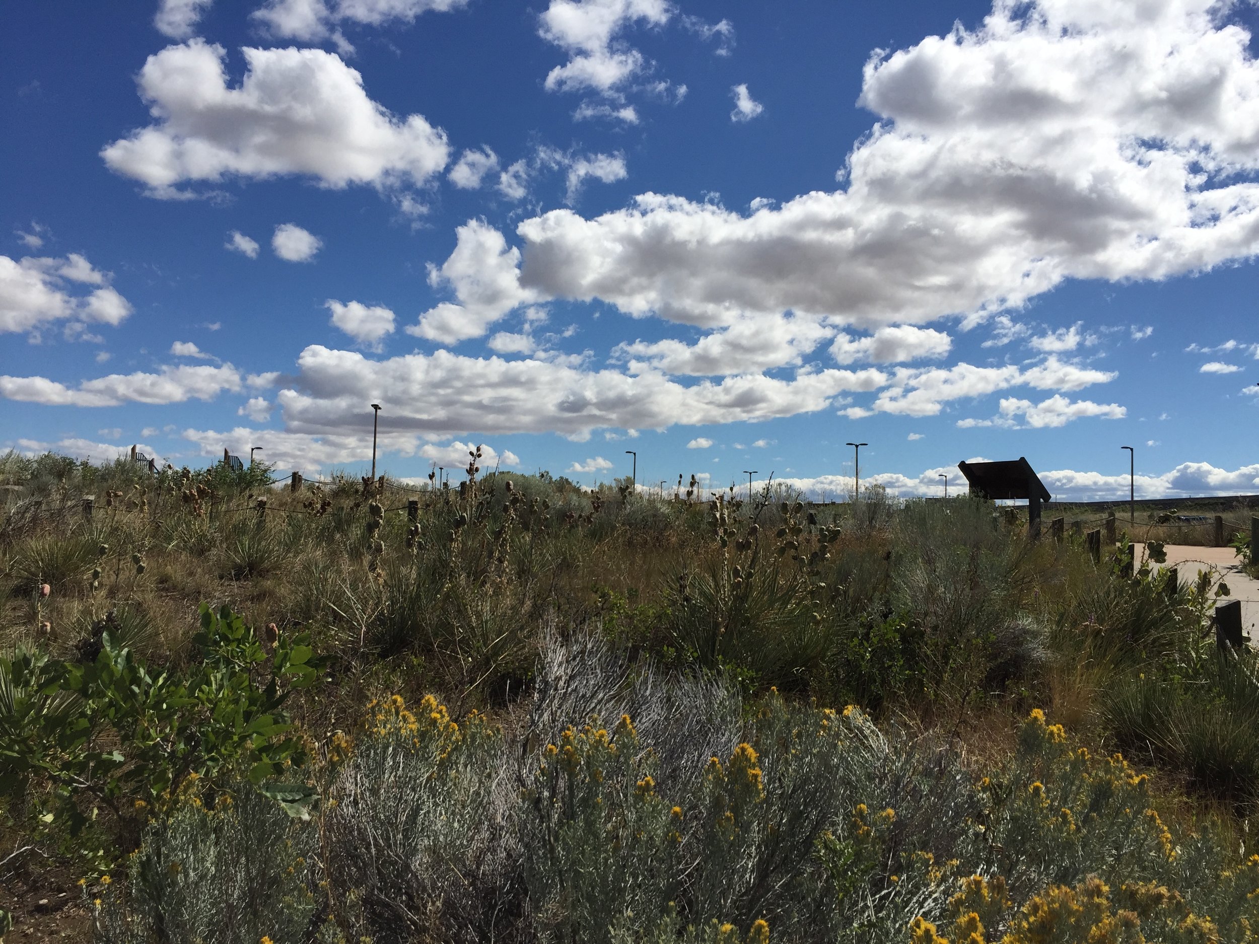 Beautiful skies and native vegetation showcasing the natural beauty at the Lewis & Clark Interpretive Center.