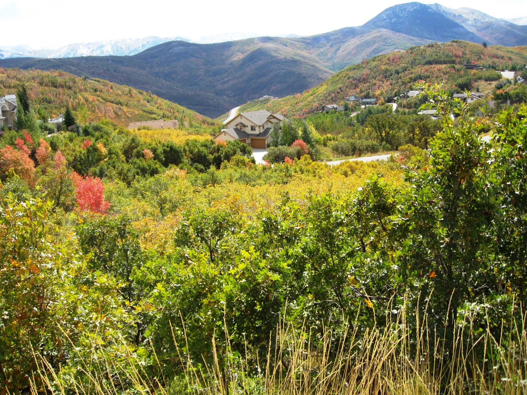Loved to Death: A story of sustainability planning in Utah’s Wasatch Canyons