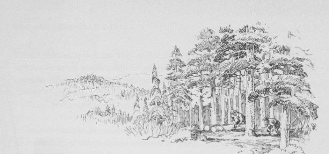 drawing3.jpg