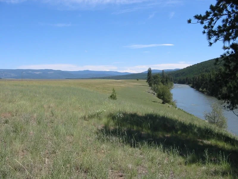 Land trusts in the WP region: An impressive but uneven record