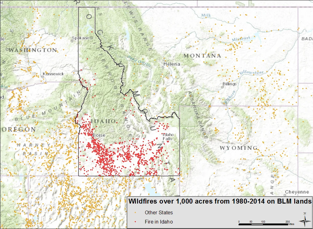 Ranching with Fire and Rangeland Fire Protection Associations: Livelihoods, resiliency, and adaptive capacity of rural Idaho