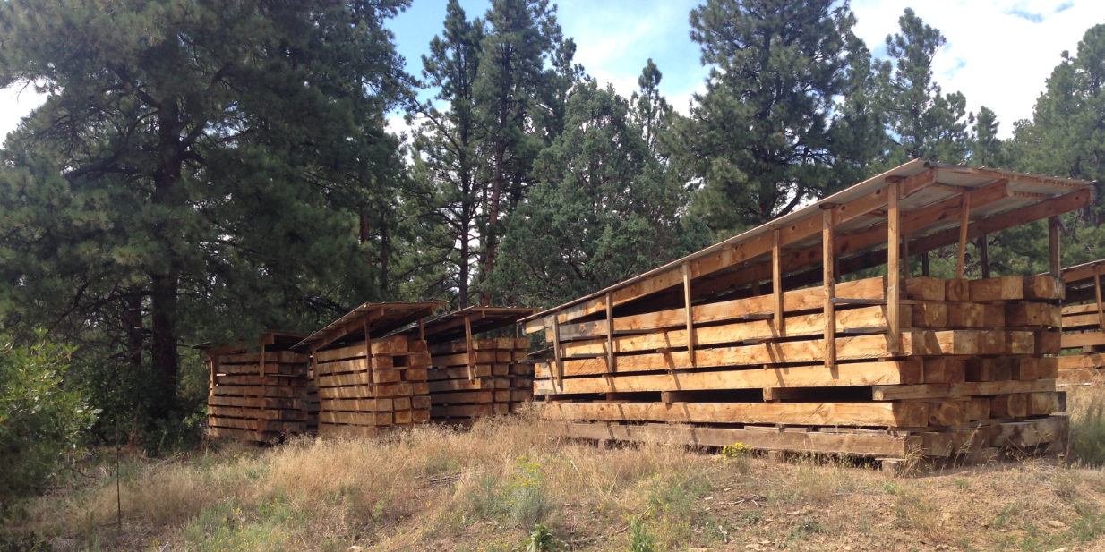 Wood harvested from required fire thinning at Twin Buttes will be reused in buildings on the site. Photo courtesy of Terri Pauls.