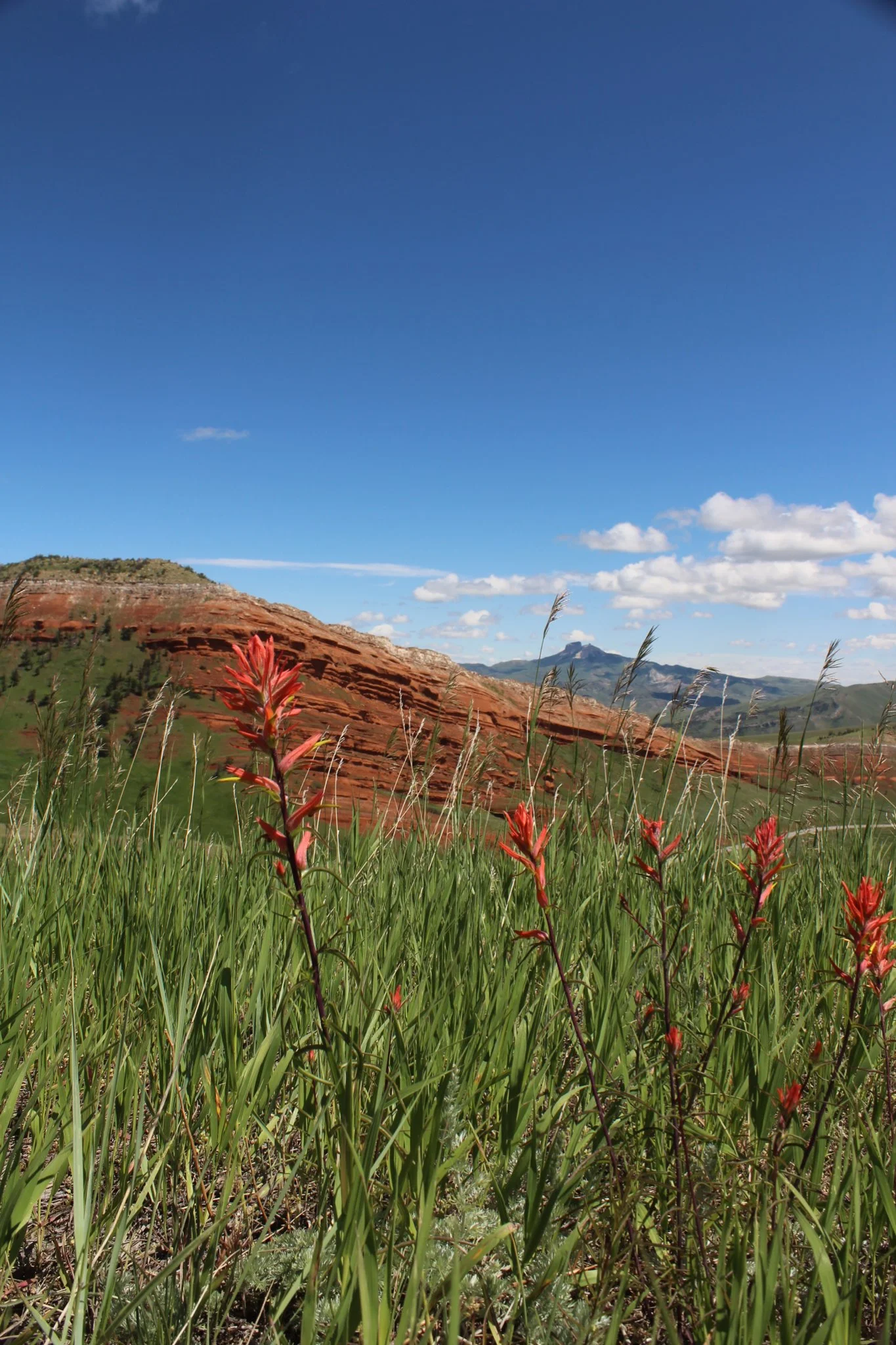 Meet Joy Hill - Director of Planning and Zoning in Park County, Wyoming