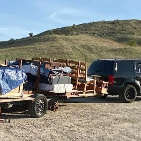 Profit, Poverty, and Pain