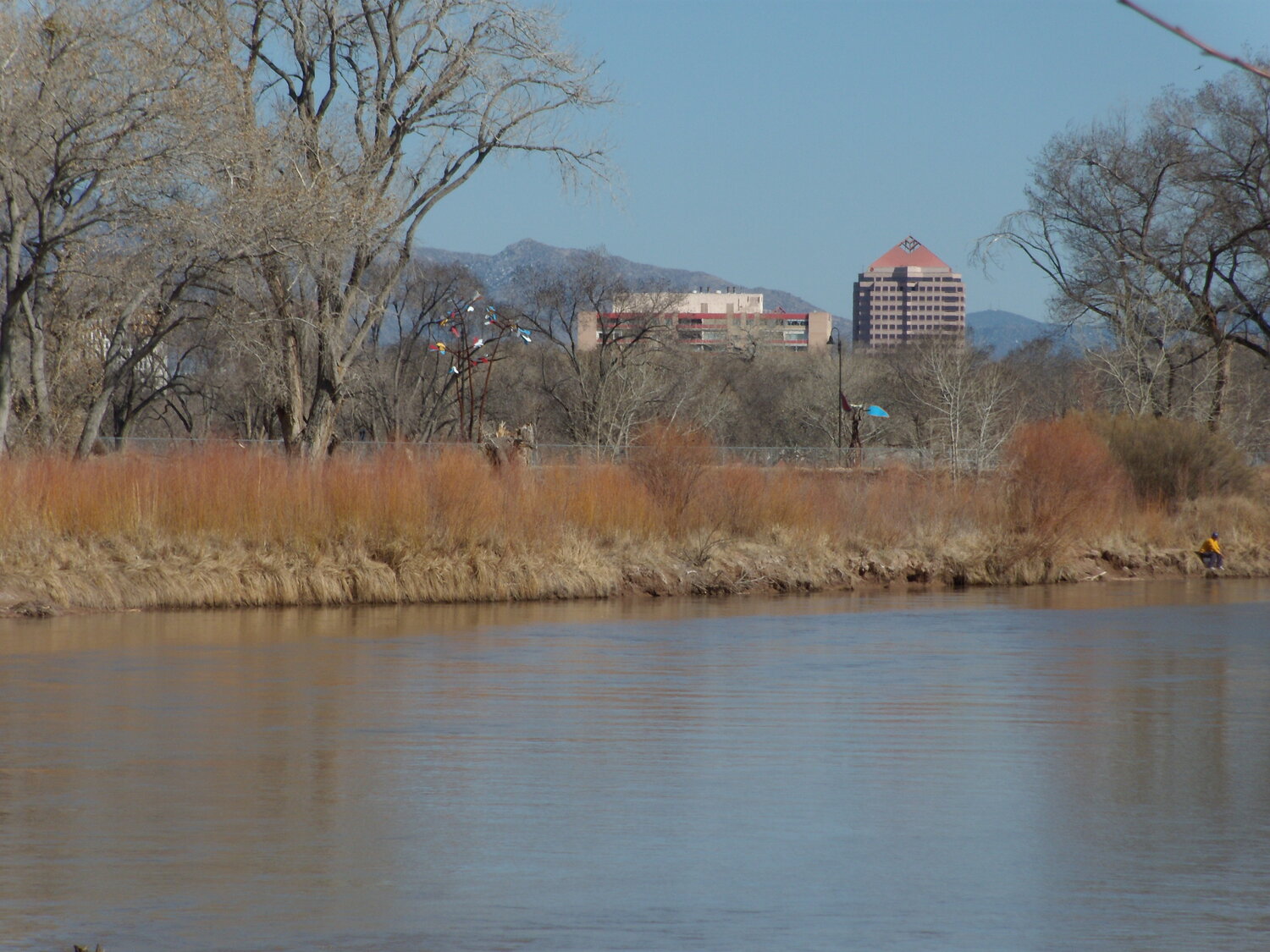 The Rio Grande Valley State Park was the fulfillment of Aldo Leopold’s vision for a riparian reserve in Albuquerque, Downtown Albuquerque is in the background (photo by Brad Stebleton)