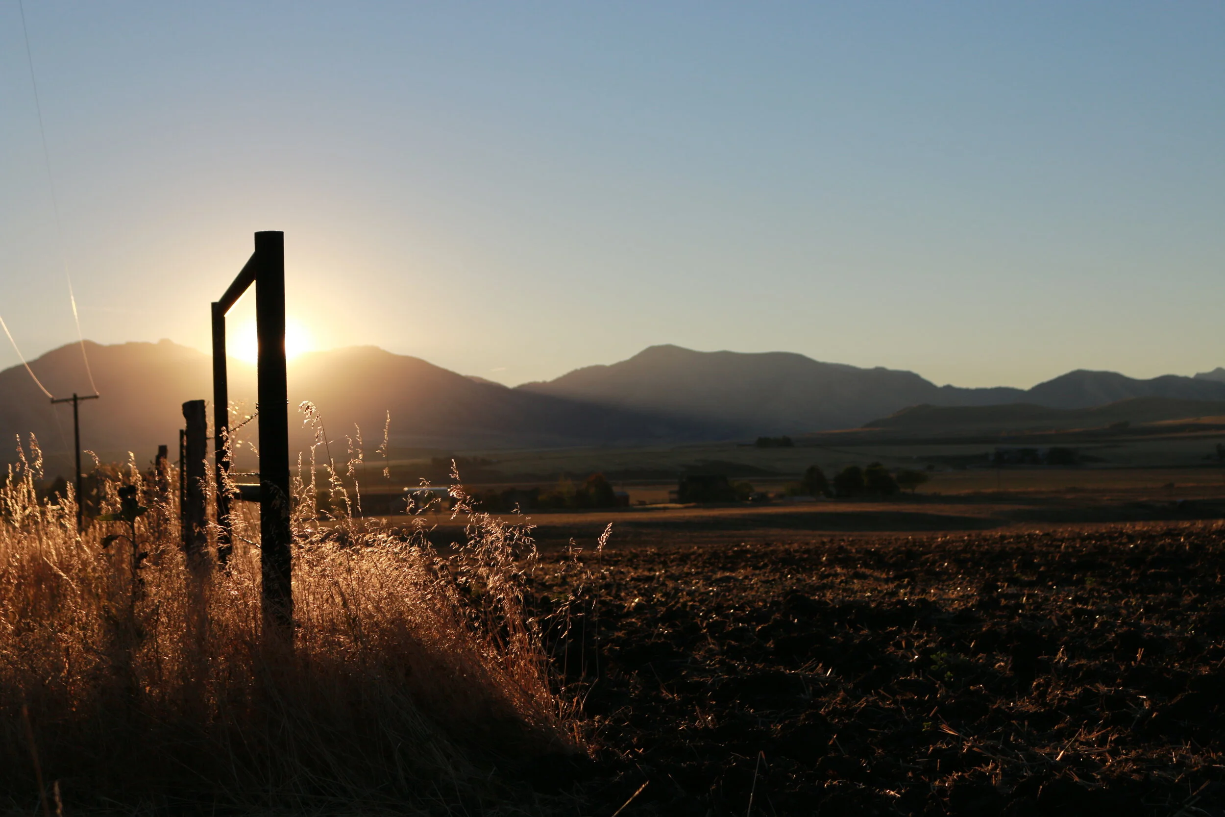 Preserved agricultural land can be important in retaining the rural character of areas in high development while still compensating land owners.