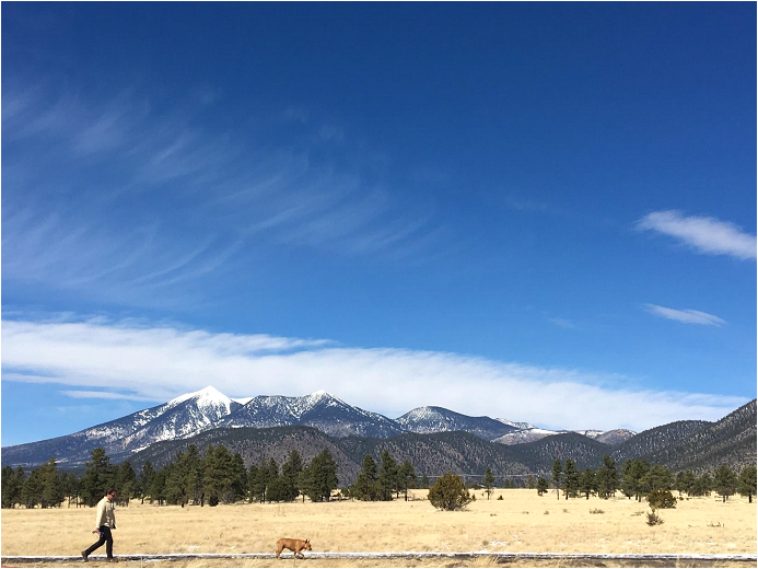 Integrating Communities within Natural Space