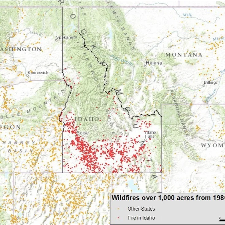 Ranching with Fire and Rangeland Fire Protection Associations: Livelihoods, resiliency, and adaptive capacity of rural Idaho