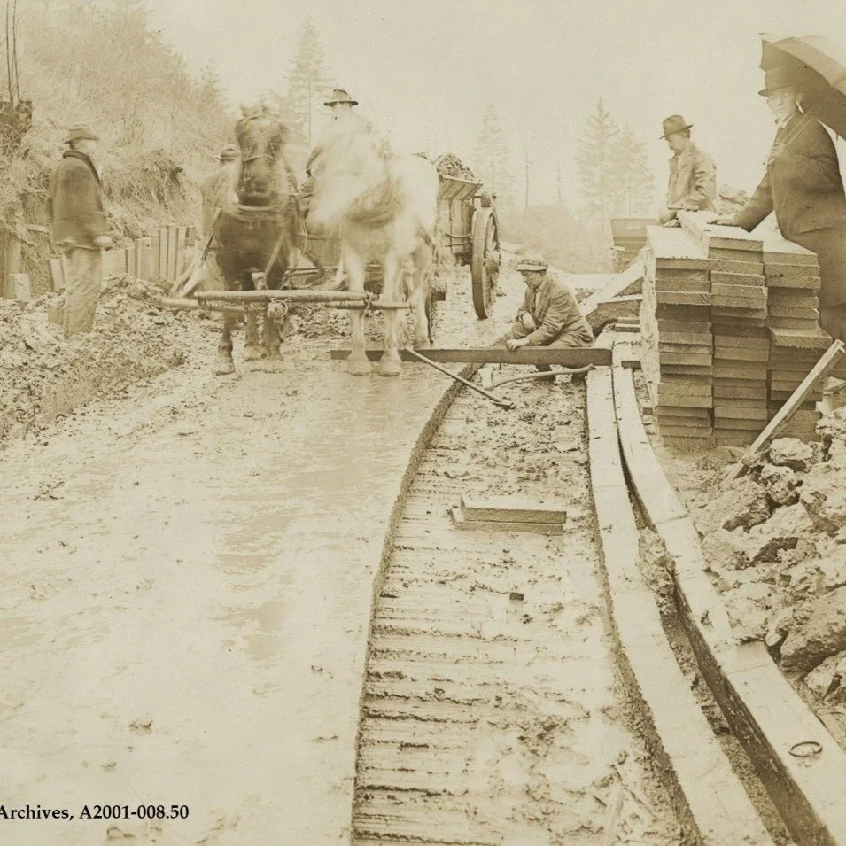 Getting Back in the Saddle: Lessons from a Horse-Powered Past for Transportation Planning Today  