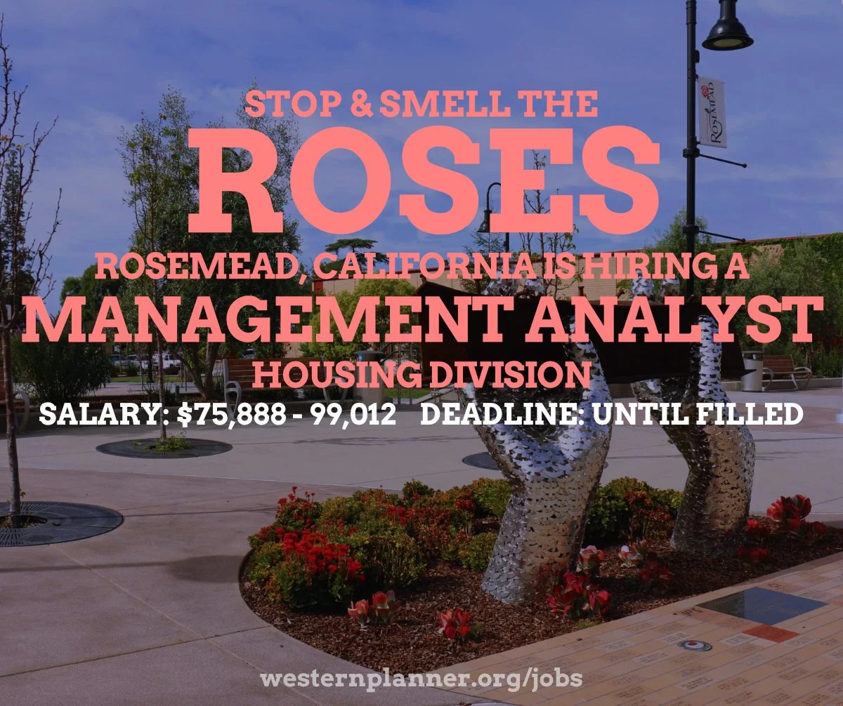 Rosemead - Analyst.jpg