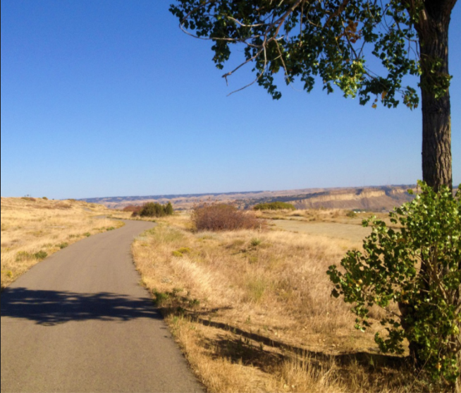 Trail winds through yellow grasses with blue open skies and single tree in foreground.