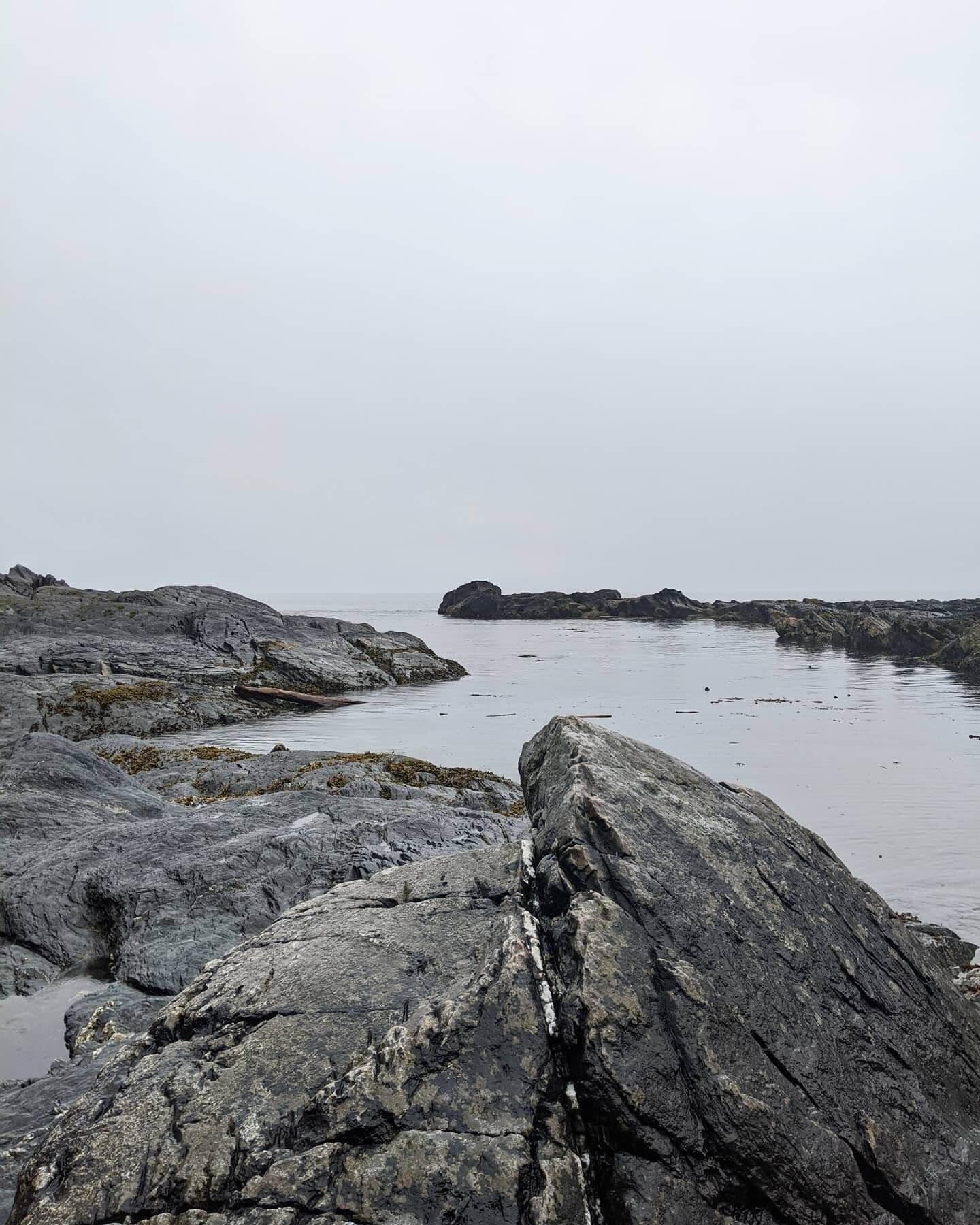 Rainy Port Renfrew