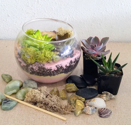 Succulent Terrarium Workshop