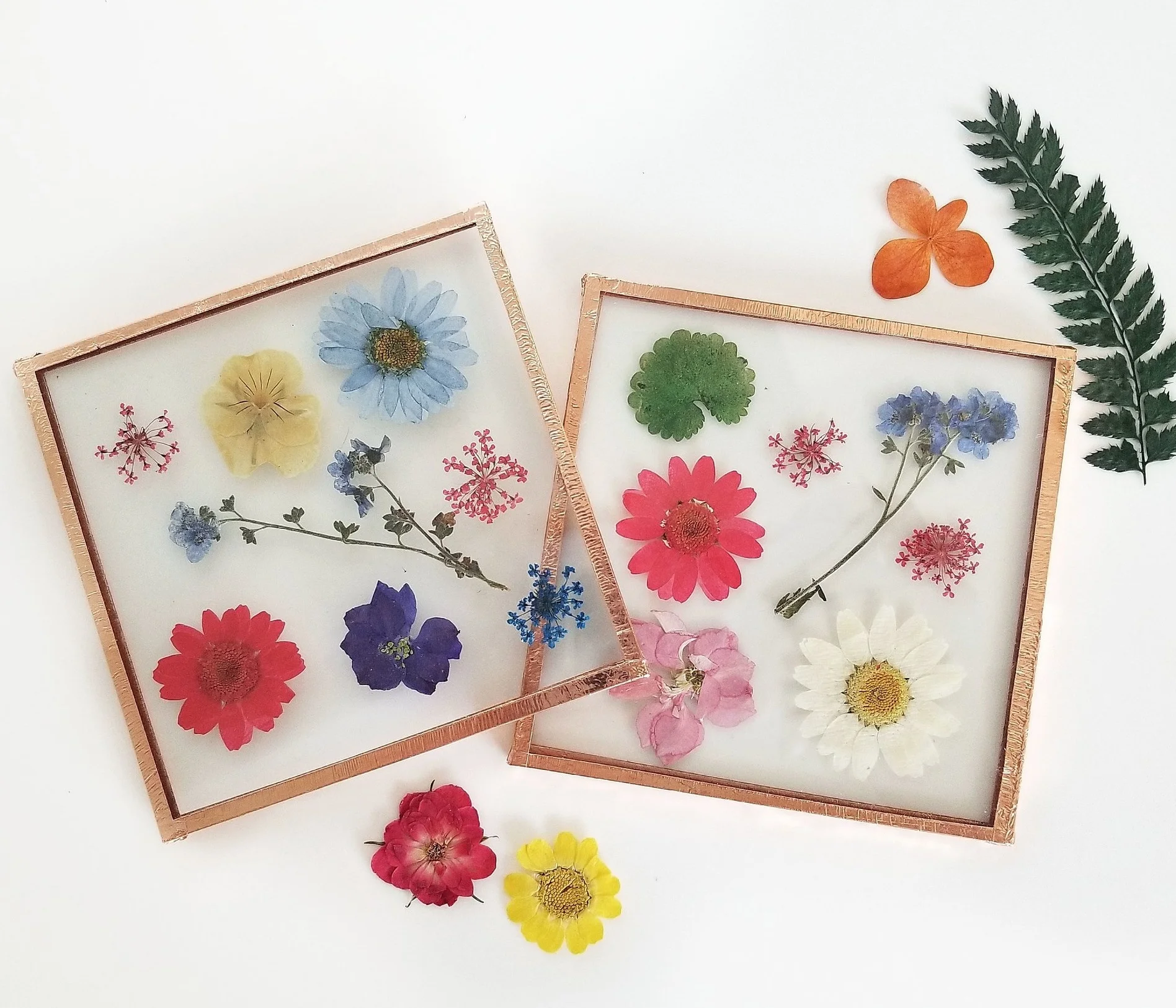 Pressed Flower Collage Workshop