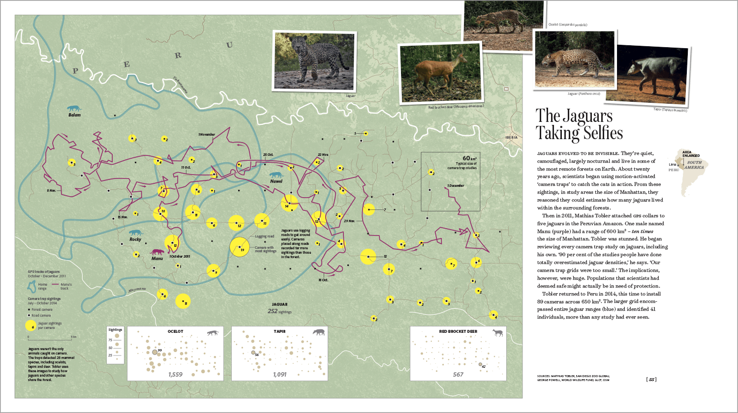 Tracking Wildlife with Technology in 50 Maps and Graphics Where the Animals Go 
