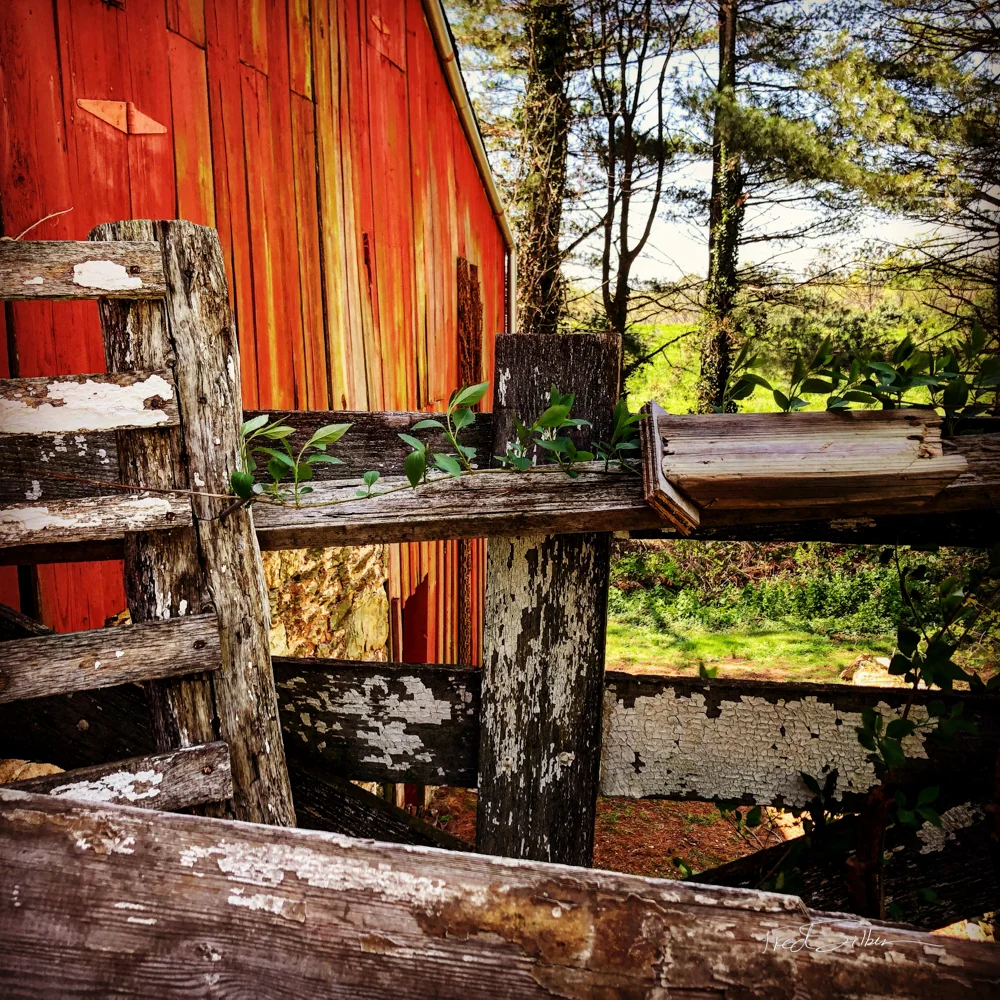 11/10/2019 Smartphone Secrets Photo Workshop