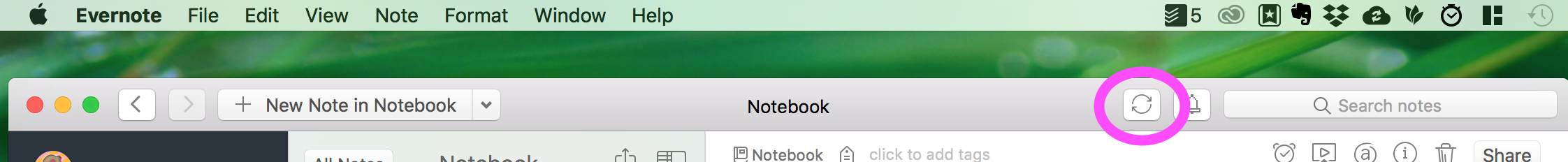 Screen Shot 2018-01-10 at 3.55.01 AM.png