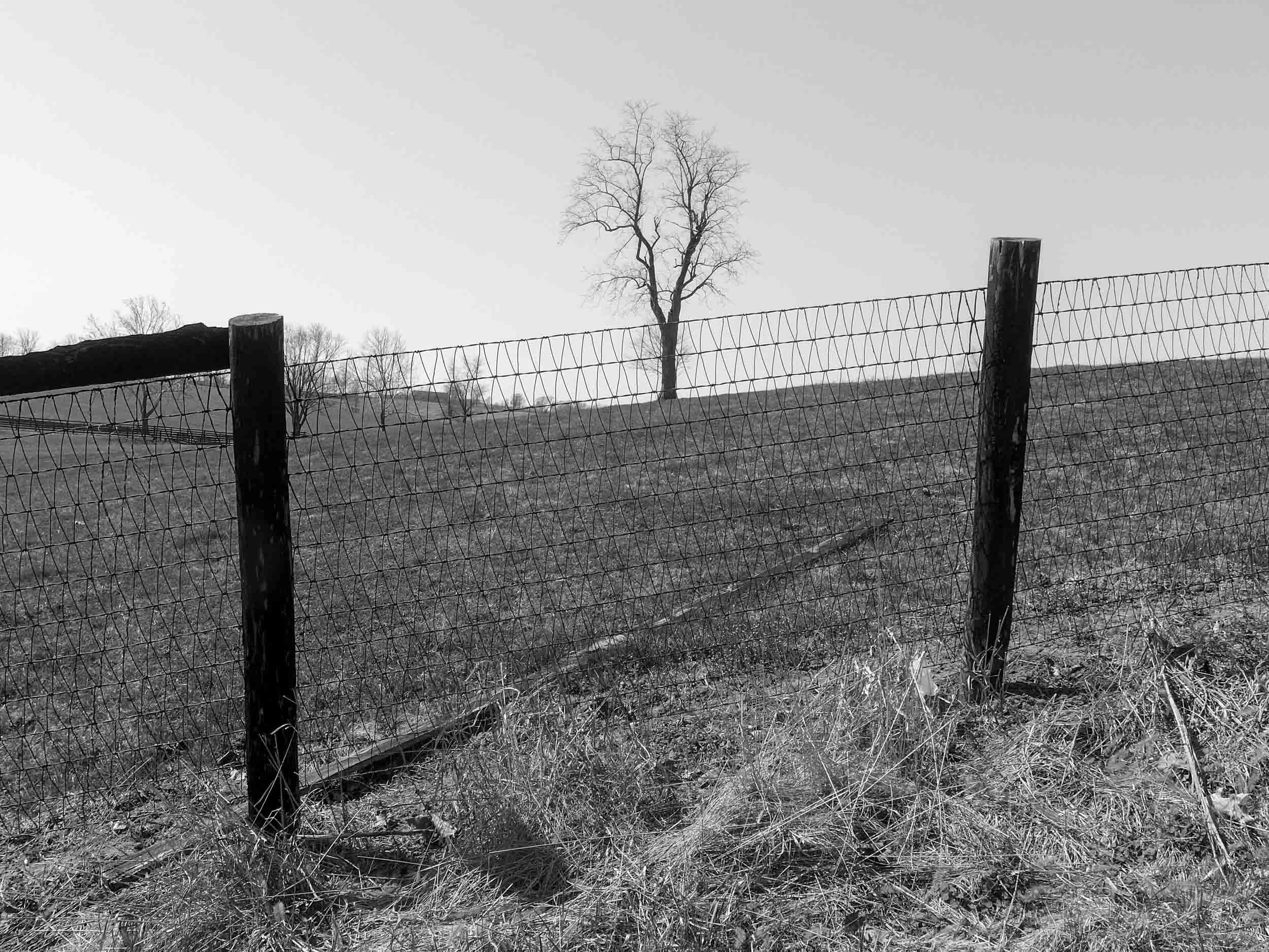 Kentucky