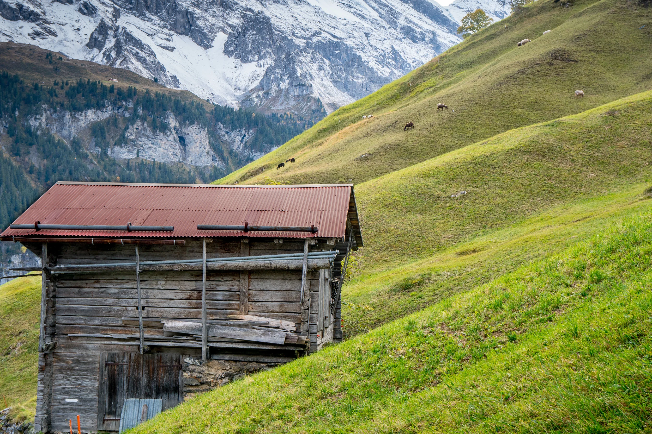 Swiss Alps