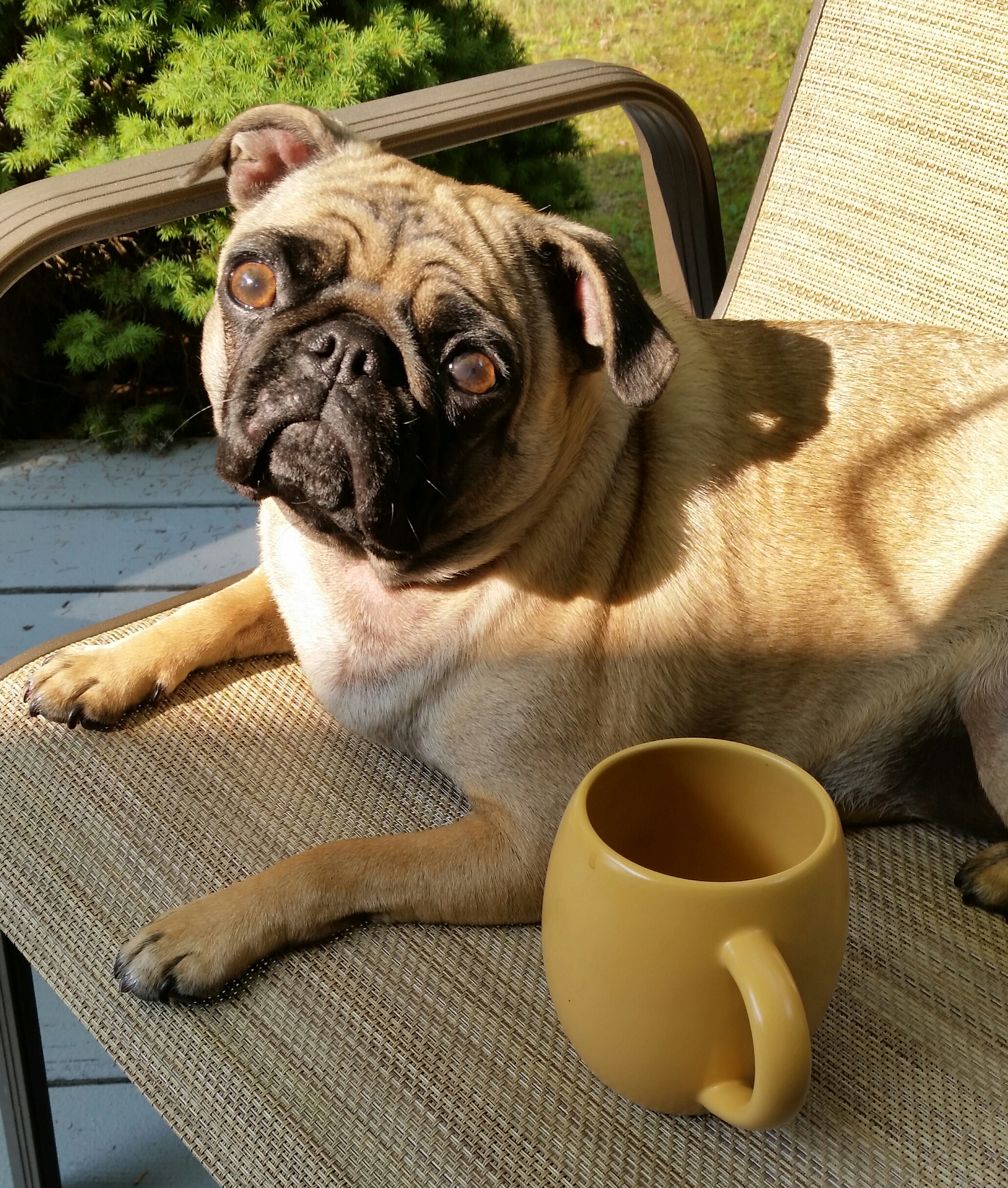 Coffee with Lucy M.jpg