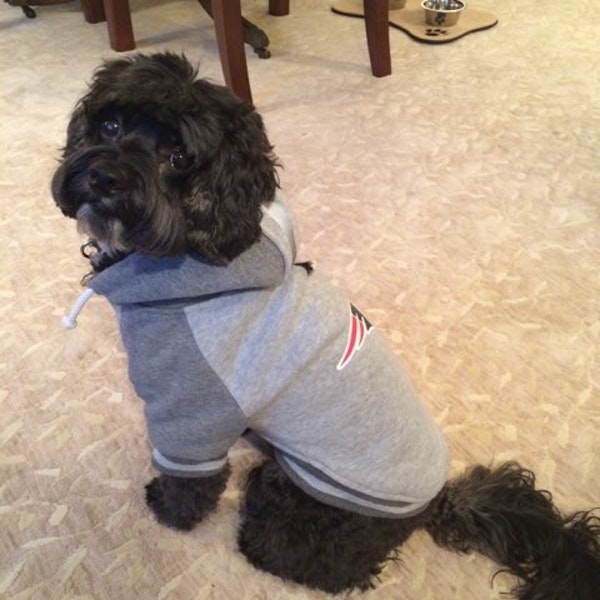 Enzo Ro Patriots fan.jpeg