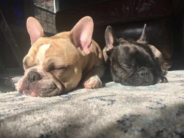Louis & Jacques ca.jpeg