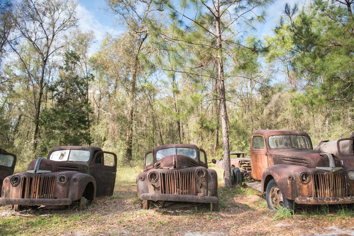 Florida | Ford Truck Graveyard