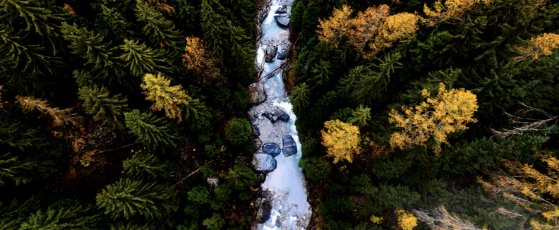 Apply now for Compass Salon No. 6 "Flowing with the river"