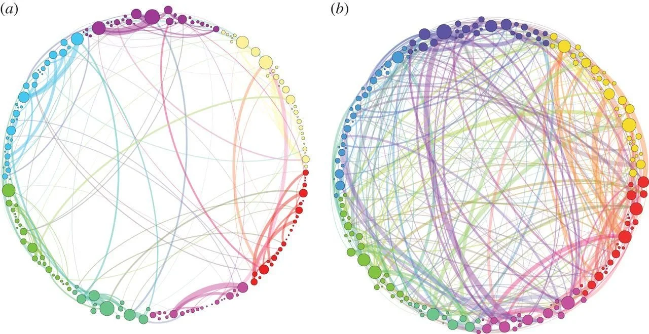 Psychedelics -  the new frontier in personal and leadership development?